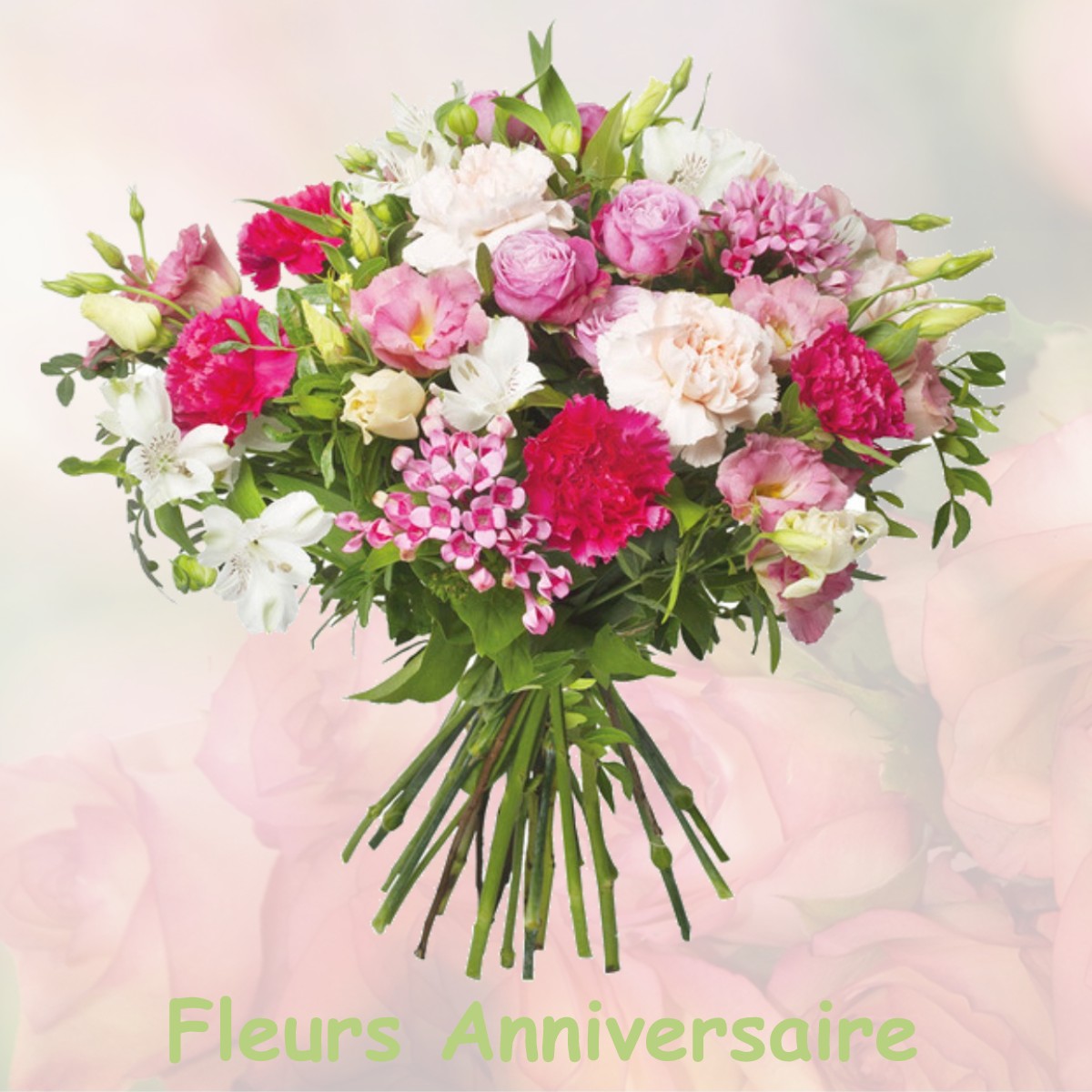 fleurs anniversaire CAMARET-SUR-AIGUES